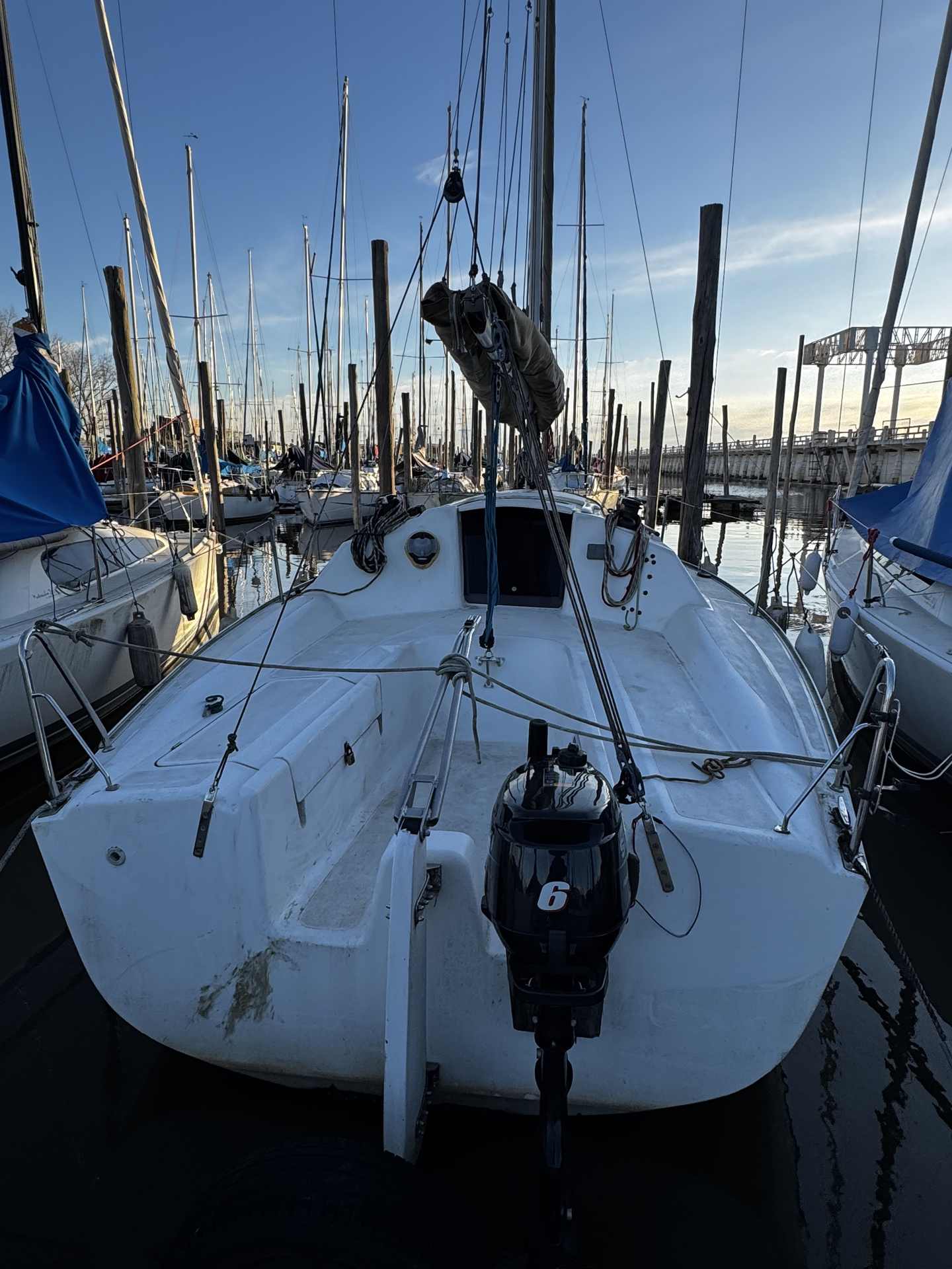 BRAMA - BRAMADOR 24 - Foto 9
